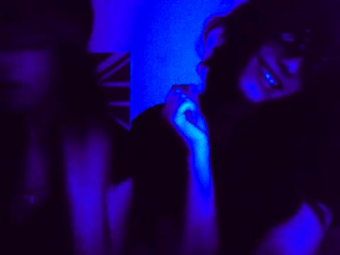 Demi Lovato and Selena Gomez Vlog # 3  Nobody's Perfect 368