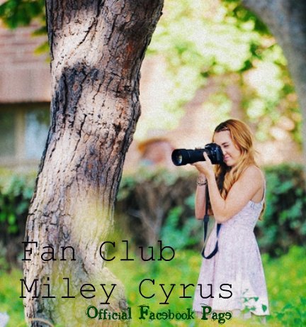 281674_247641875258812_209648225724844_825890_8280943_n