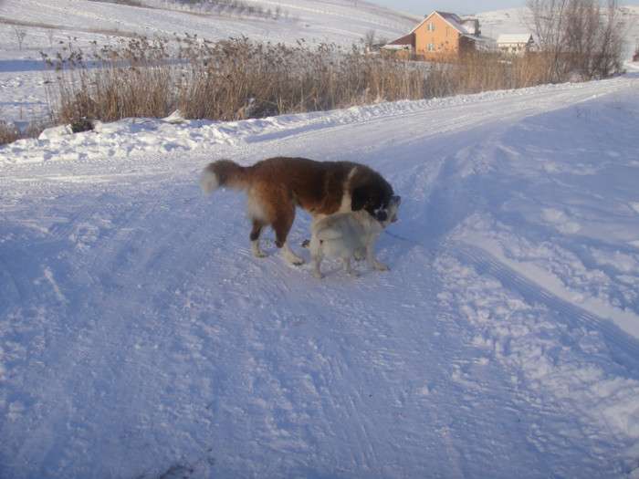 DSC03086 - benny 2012