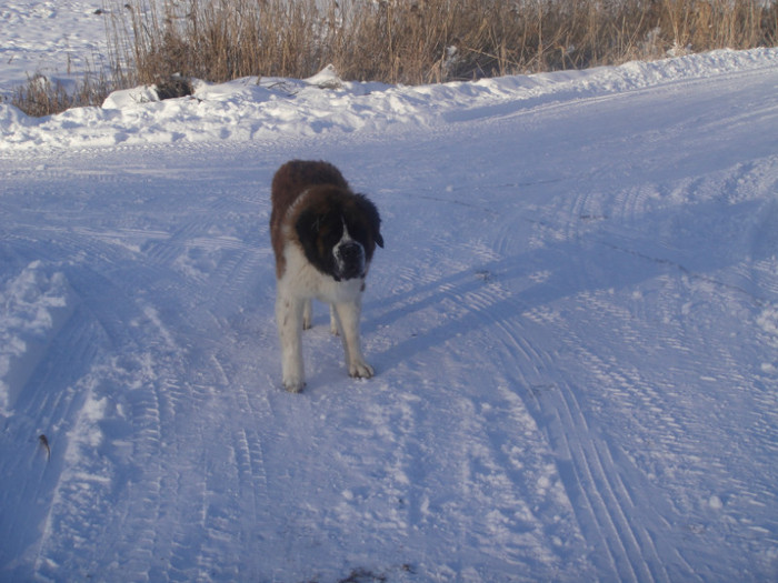 DSC03055 - benny 2012