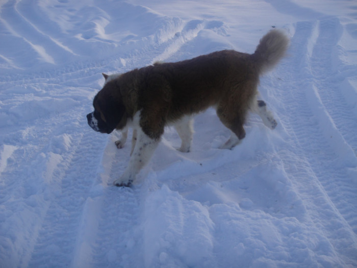 DSC03056 - benny 2012