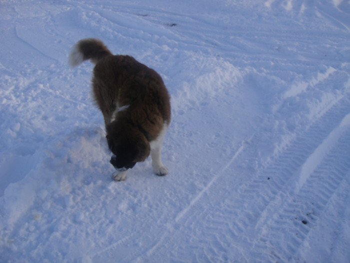 DSC03057 - benny 2012