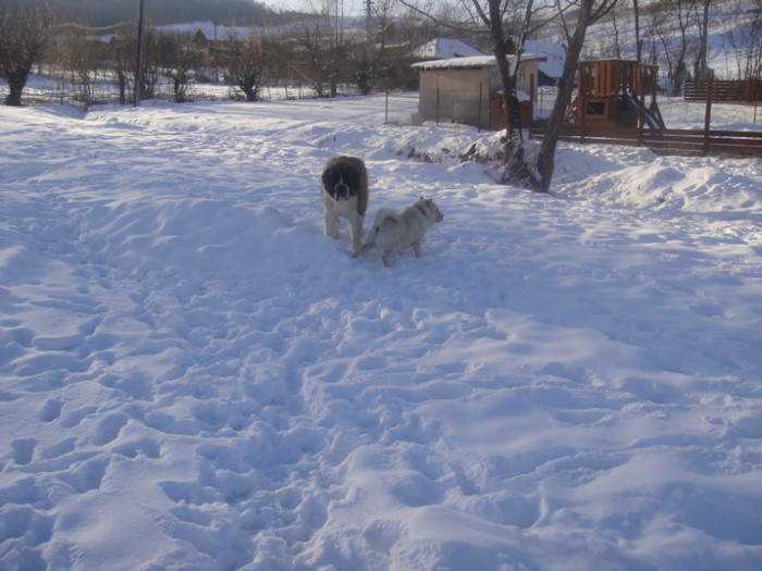 DSC03059 - benny 2012