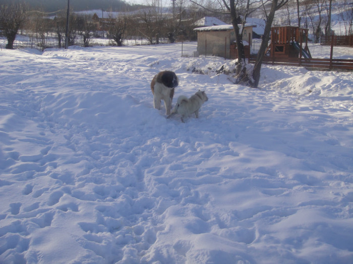 DSC03060 - benny 2012