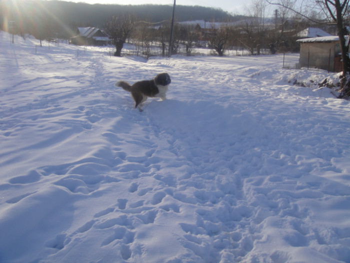 DSC03061 - benny 2012