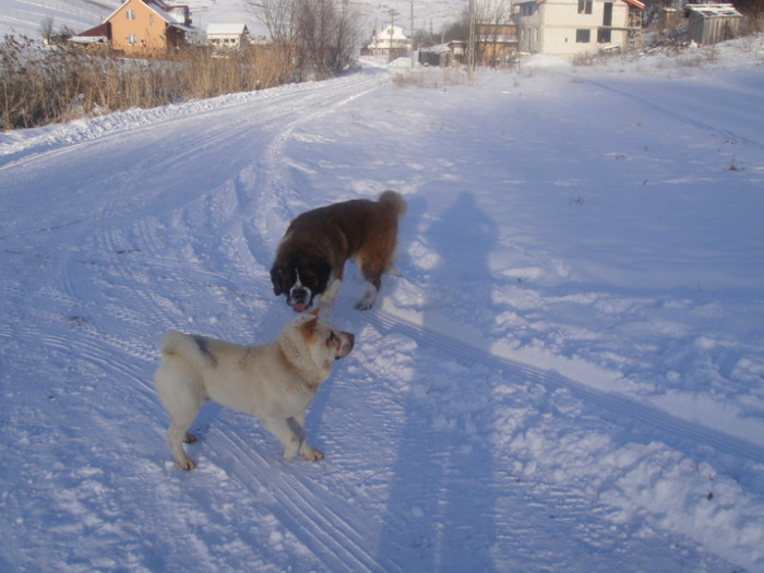 DSC03062 - benny 2012