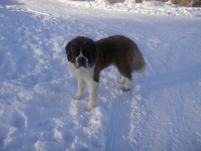 DSC03063 - benny 2012