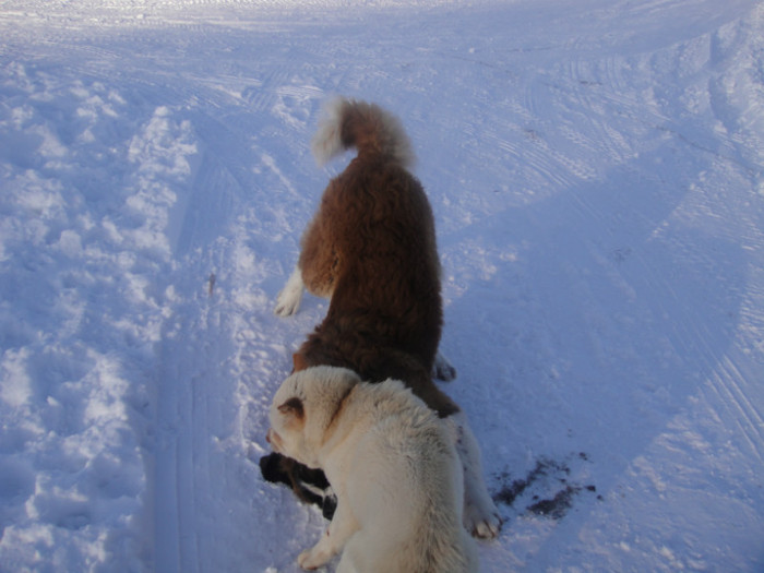 DSC03065 - benny 2012