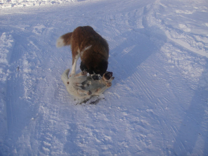 DSC03066 - benny 2012