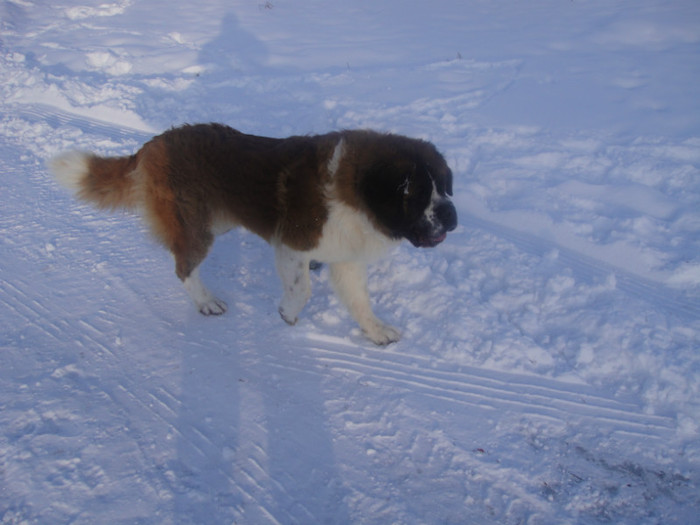 DSC03067 - benny 2012