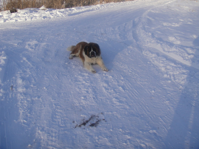 DSC03069 - benny 2012