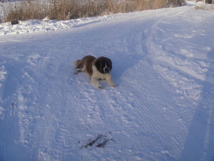 DSC03070 - benny 2012