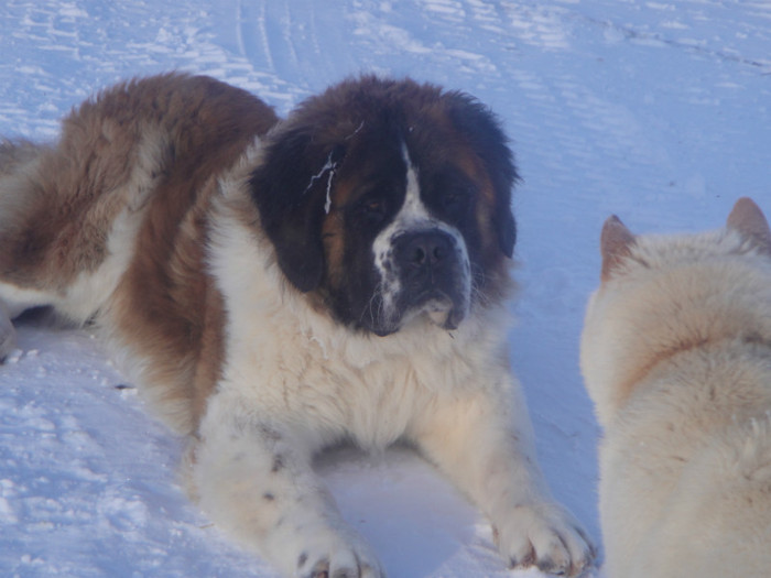 DSC03071 - benny 2012
