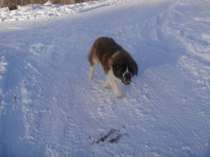 DSC03072 - benny 2012