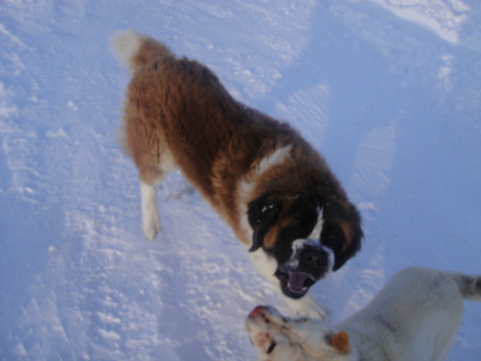 DSC03073 - benny 2012