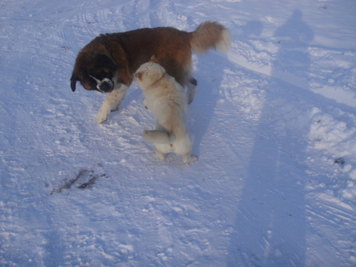 DSC03075 - benny 2012
