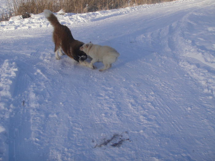 DSC03076 - benny 2012