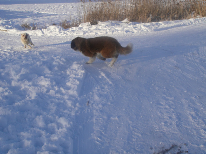 DSC03077 - benny 2012