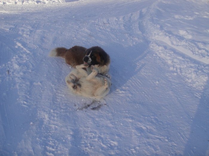 DSC03079 - benny 2012