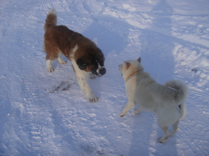 DSC03080 - benny 2012