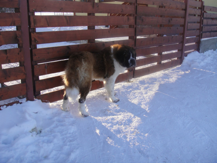 DSC03115 - benny 2012