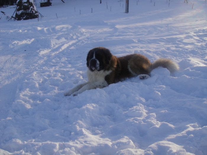 DSC03093 - benny 2012