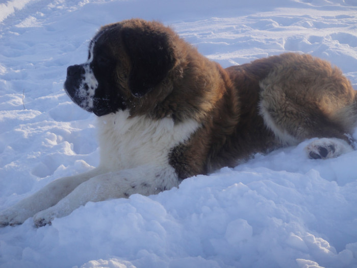 DSC03094 - benny 2012