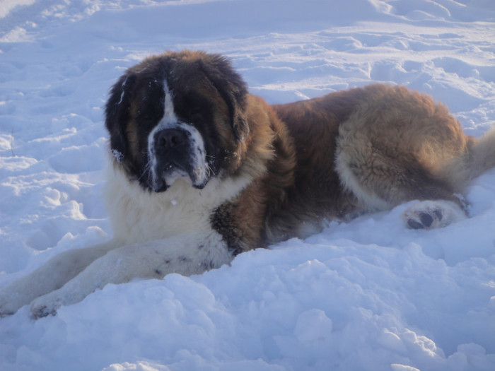 DSC03096 - benny 2012