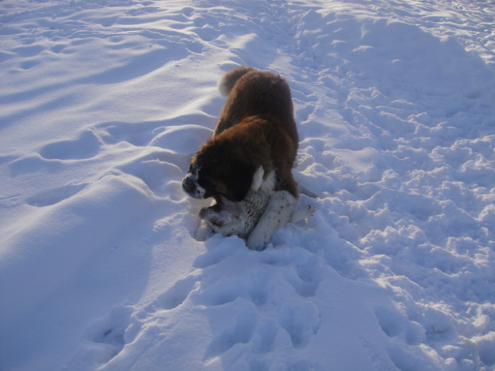 DSC03097 - benny 2012