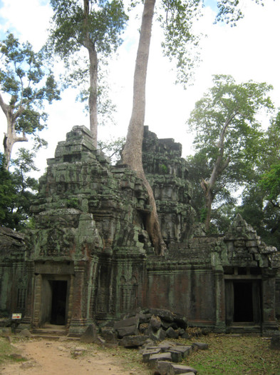 Templul Ta Prohm - Cambodgia