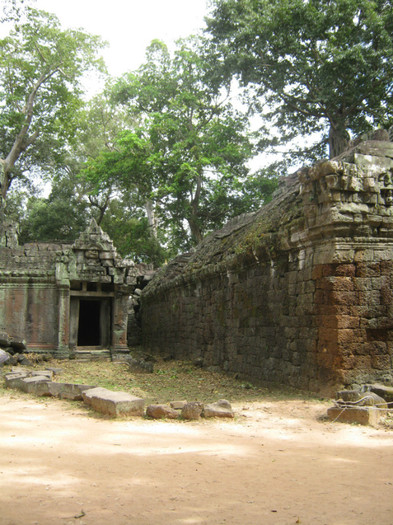 Templul Ta Prohm - Cambodgia