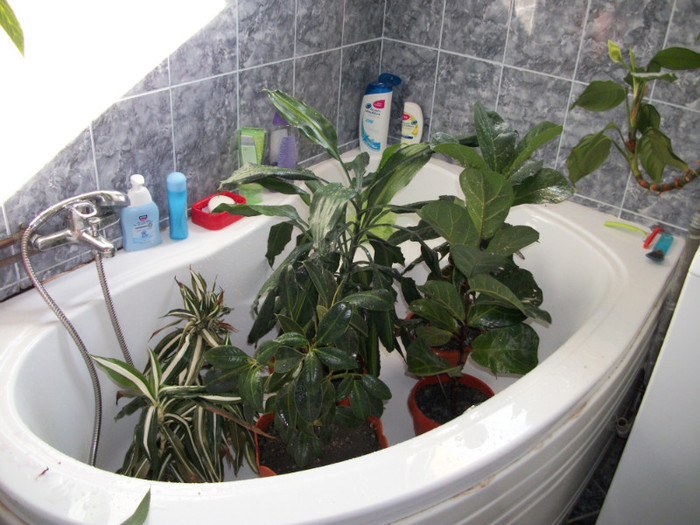 08 FEB 2012 LA DUS!!!