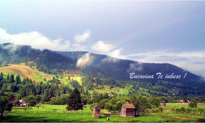 423048_312704948765395_303248953044328_758381_1352377191_n