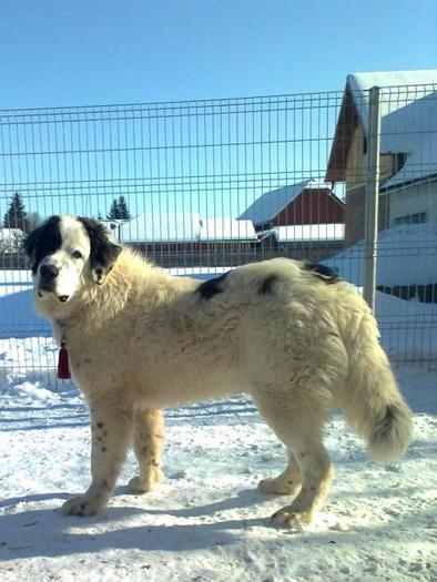 1328466440-fotografie0390_001