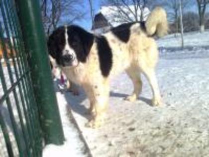 1328466559-fotografie0385_001