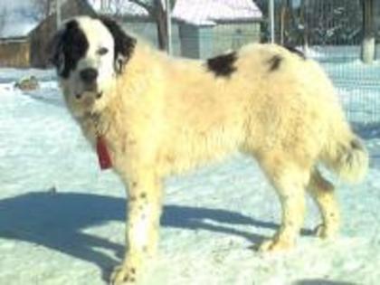 1328467107-fotografie0392_002