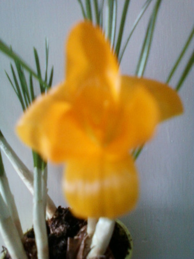 9 febr  2012 003 - achizitii noi