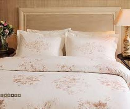 camera lui raluca si rafael\