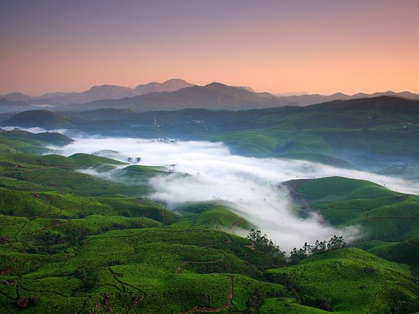 hills-munnar_6725_600x450