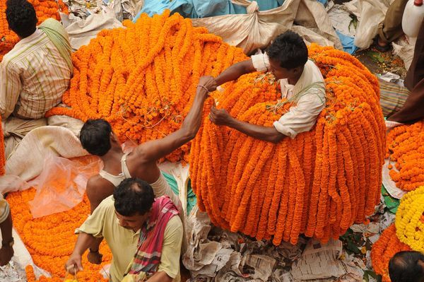 india-street-flower-vendor-kolkata-india_29372_600x450 - India imagini HD