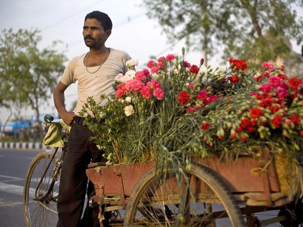 delhi-ful-wallah_1869_600x450