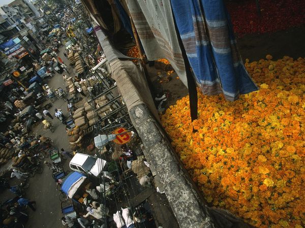 delhli-flower-market_1874_600x450 - Festivitati in Delhi