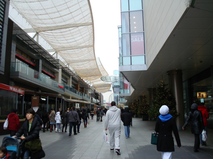 DSC08221 - IN WESTFIELD