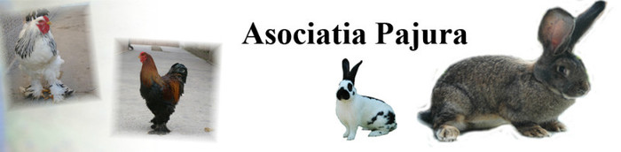 http://asociatiapajura.wordpress.com - 1 C O N T A C T