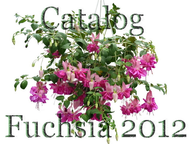 Fuchsia catalog 2012 - Fuchsii