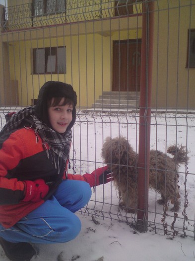 DSC01152 - Iarna