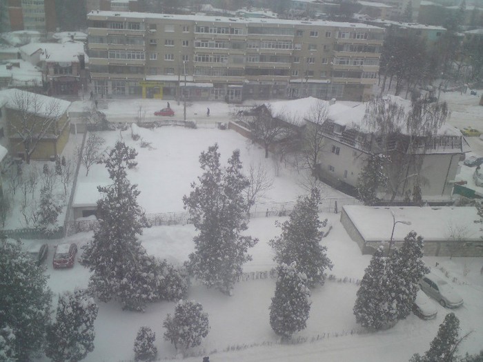 DSC01198 - Iarna