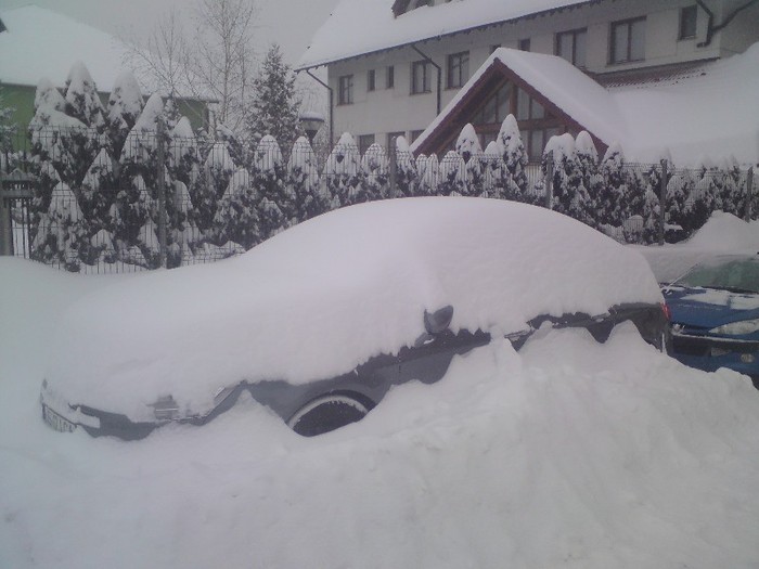 DSC01200 - Iarna