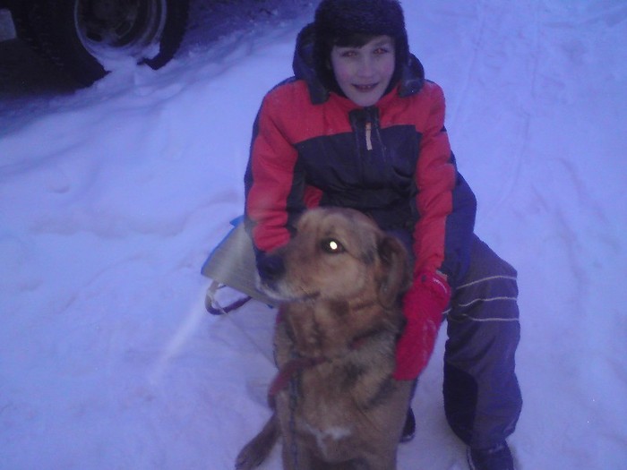DSC01190 - Iarna