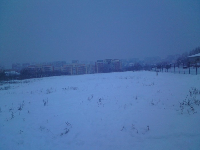 DSC01181 - Iarna